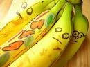 banani123