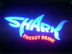 shark_1984