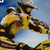 Отбора на Fmx 2