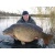 carpmaniac