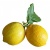 LIMON4O