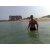 andreev46