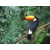 TEDY_77