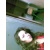 kissme8