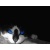 black_cat949