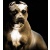 pit_bull124