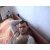 andrei_vr