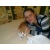 megit