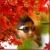 kadir_dolar11