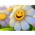 _SMILE_