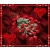 iwona_2002