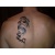 damned_dark_angel