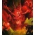 DEGENERAT_04