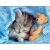 mecho_pooh