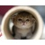 Vmusic69
