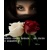 Black_Rose_