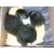 elinor151