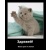 mishleto_p