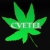 cvetel