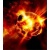heat_in_the_soul