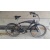 belia64224