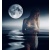 moon_