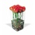 rosa_bg