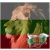 Simeon_bg
