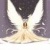 angel4eto159