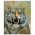 rexxar93