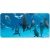 delfin4etooooo_ss