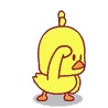 kloi