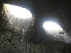 DivineKofa