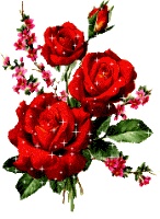 damaianti