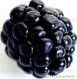 kupinka