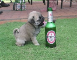 totich