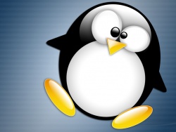 Jowi