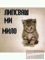 vesi_kvn