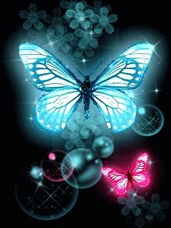 butterfly_dv