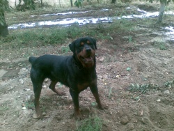 vanko170273