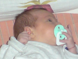 pateto_nestle