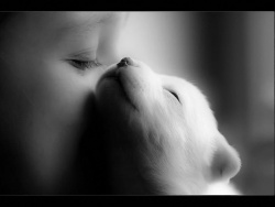 Pleasure