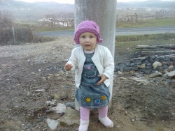 sz_bekir