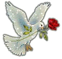 megiP