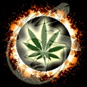 cecko97