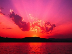 user_24583