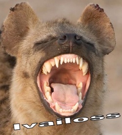 IvAiLoSs