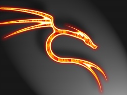 NeXtErNeL