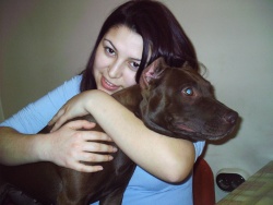 silviq2010