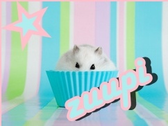 zuupi